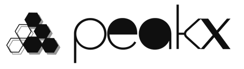 Logo PeakX